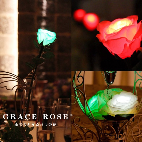 GRACE ROSE 水に反応して光るバラの花