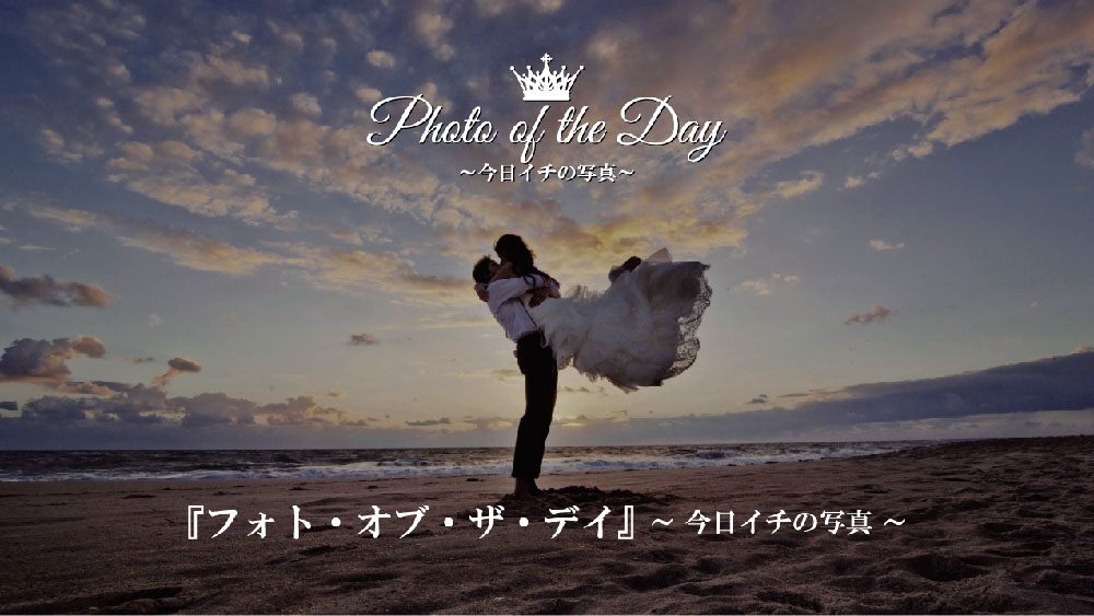 Photo of the day �ｿｽX�ｿｽ}�ｿｽz�ｿｽﾅ撮�ｿｽ�ｿｽ�ｿｽ�ｿｽ�ｿｽﾊ真�ｿｽ�ｿｽ�ｿｽX�ｿｽN�ｿｽ�ｿｽ�ｿｽ[�ｿｽ�ｿｽ�ｿｽﾉ転�ｿｽ�ｿｽ