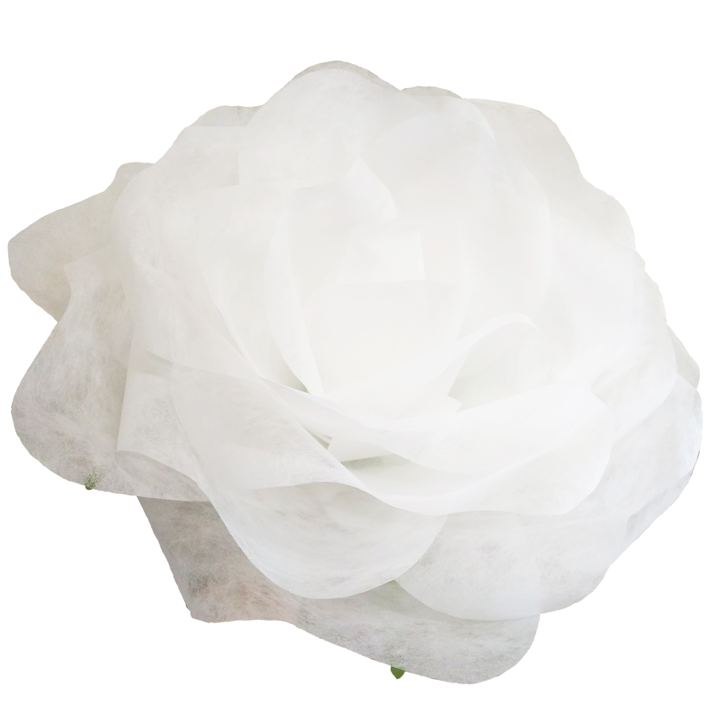 パステルローズL 茎なし ホワイト Giant Flower 花径約45cm