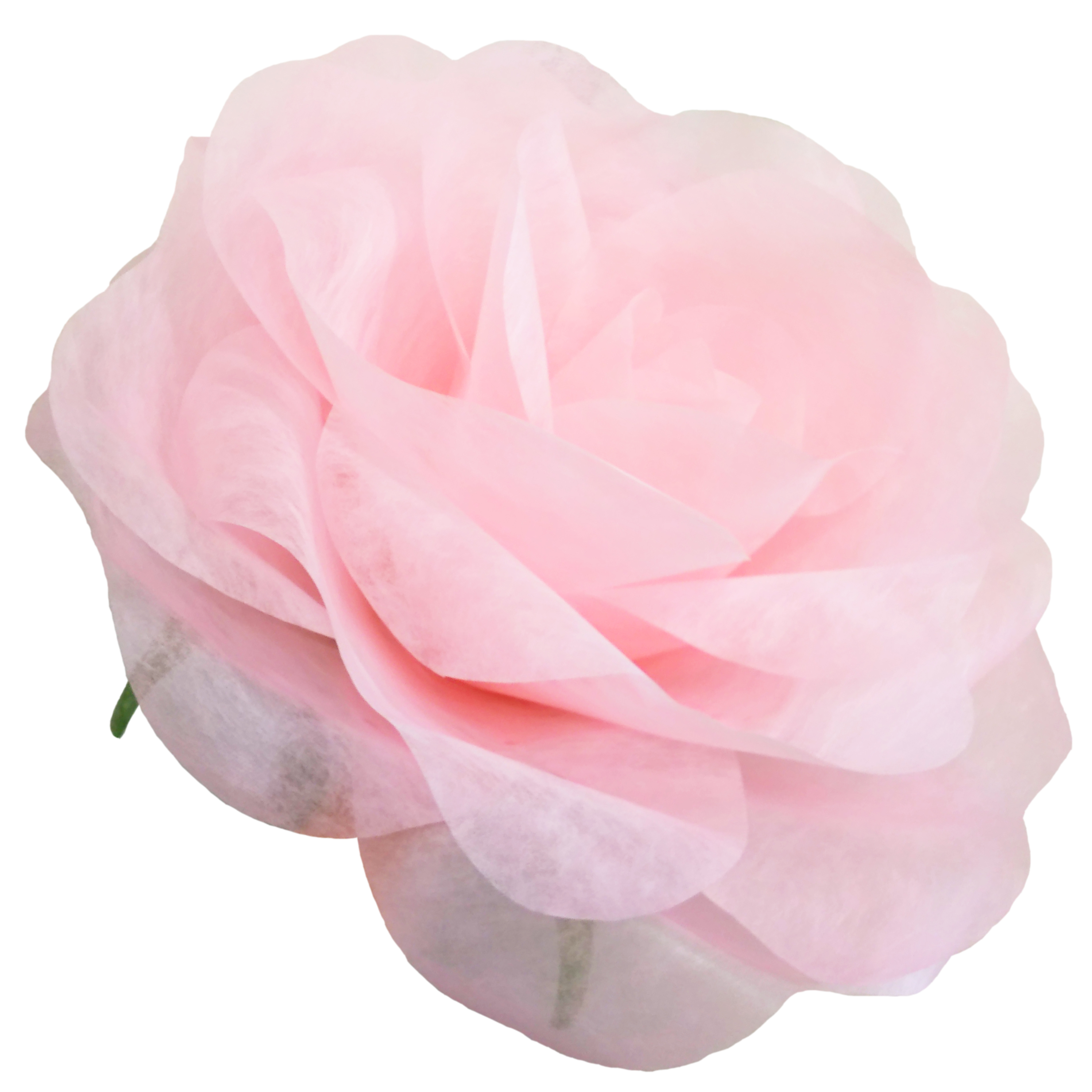 【おためし】 パステルローズL ピンク 花径約45cm