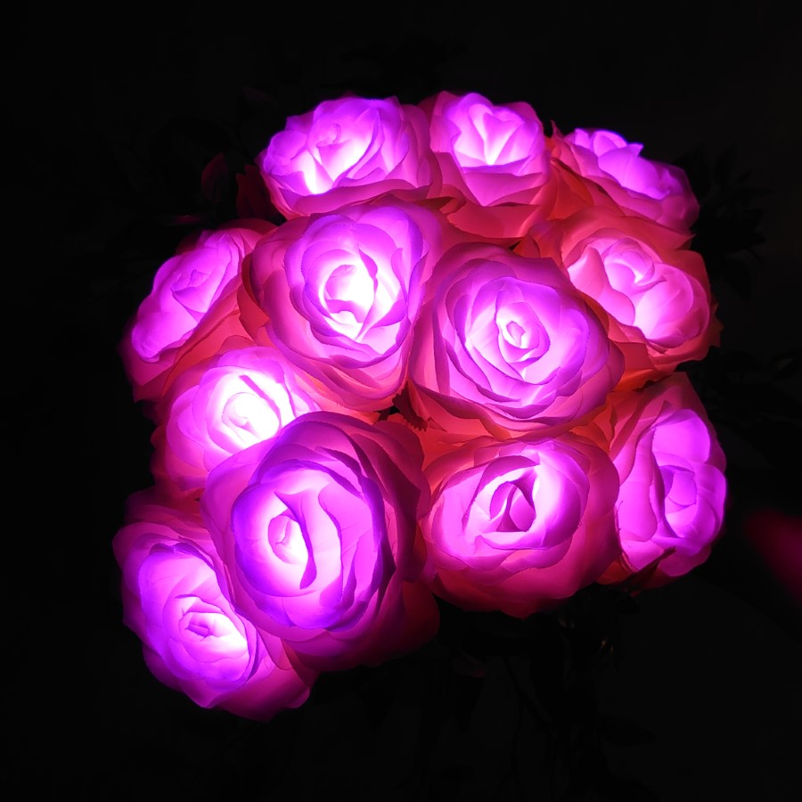 GRACE ROSE:12本のブーケ ジェンダーリビール 【レンタル】