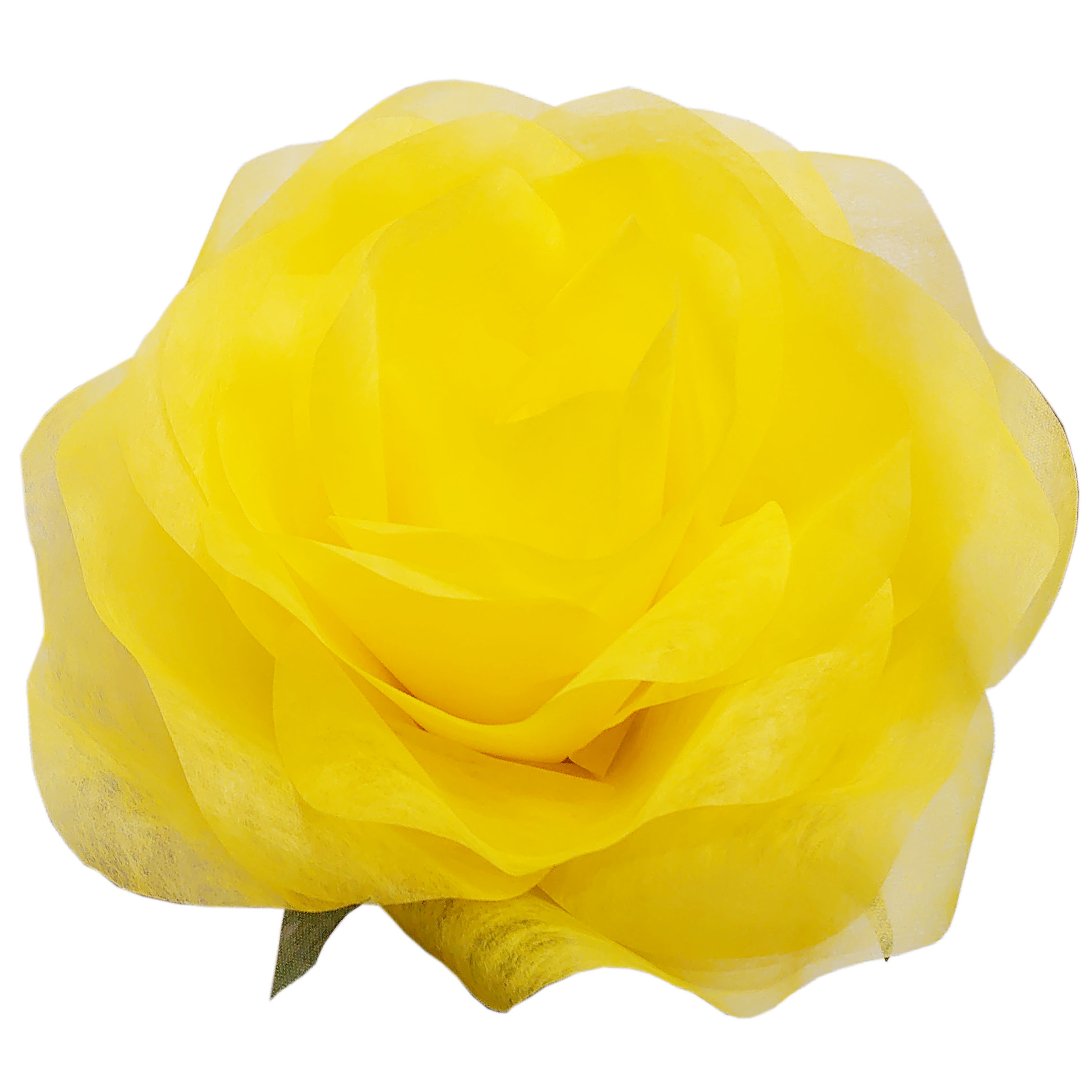 パステルローズL レモン　Giant Flower 花径約45cm